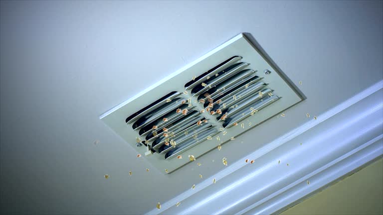 Best Affordable Air Duct Cleaning  in Ilchester, MD
